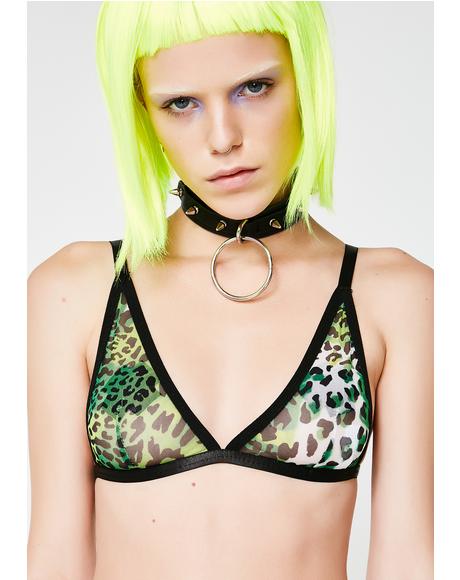 Prey On You Sheer Bralette