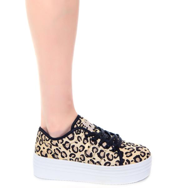 leopard shoes belk