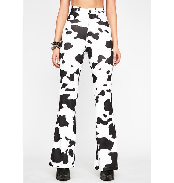 cow print pj pants