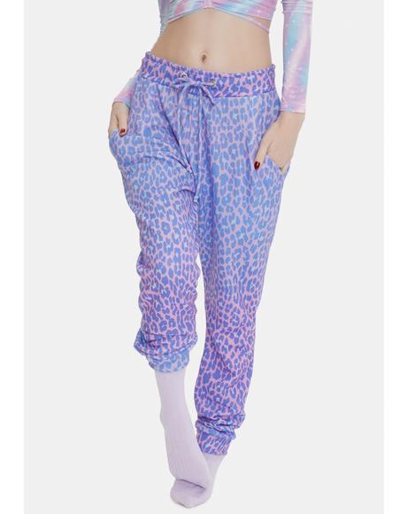 cheetah brand sweatpants