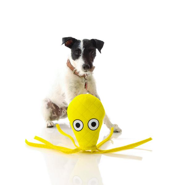 squid dog plush