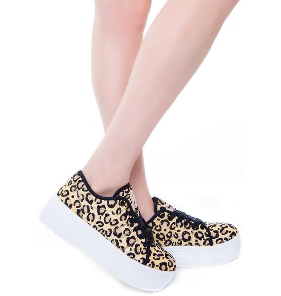 leopard shoes belk