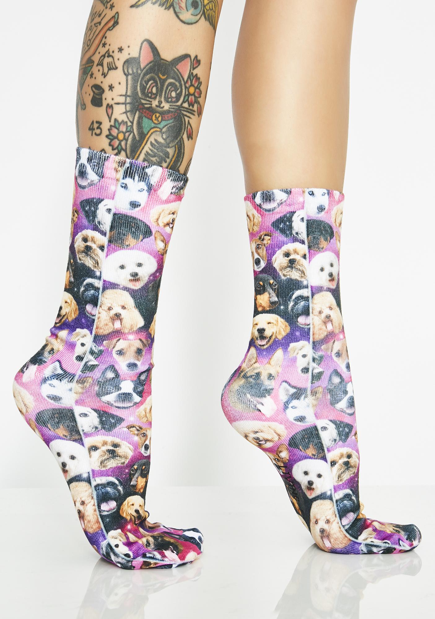 cat and dog socks