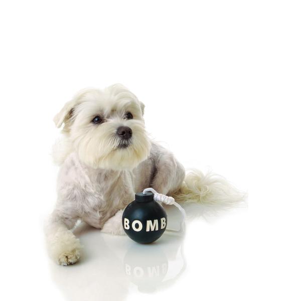 Bombs Away Dog Toy Dolls Kill