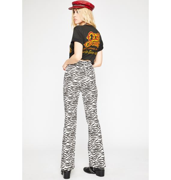 zebra flares outfit