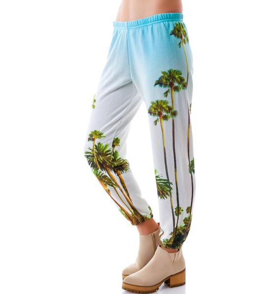 All Things Fabulous Palm Tree Sweats | Dolls Kill