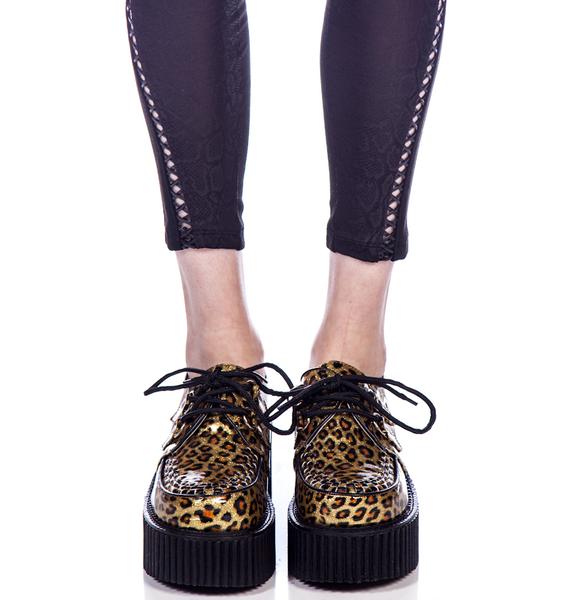 Demonia Cheetah Glitter Creepers Dolls Kill