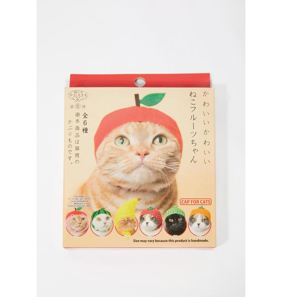 Fruit Cat Hat Rainbow Dolls Kill