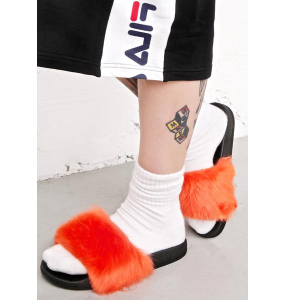 colorful fuzzy slides