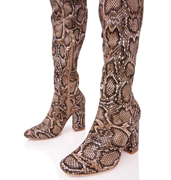 Brown Snakeskin Thigh High Boots | Dolls Kill