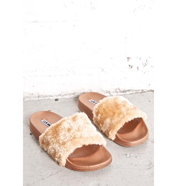 tan fuzzy slides