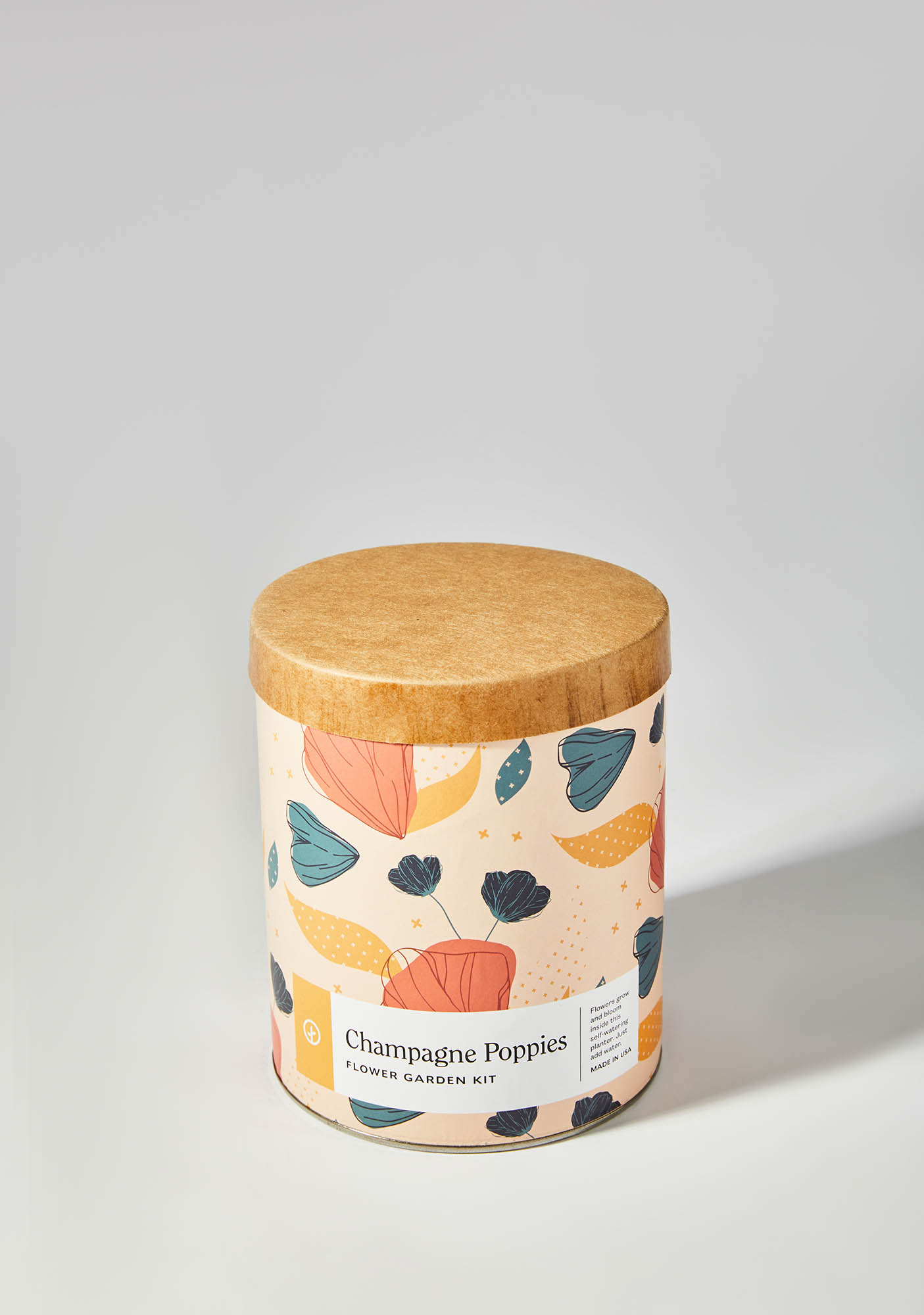 Modern Sprout Champagne Poppies Waxed Planter Dolls Kill