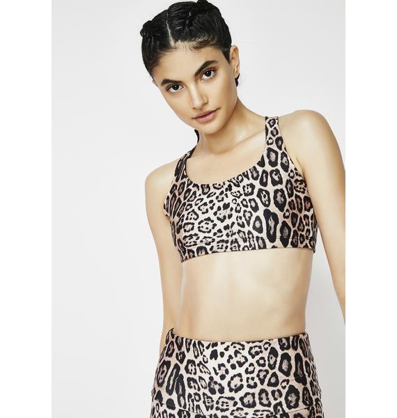 onzie leopard bra