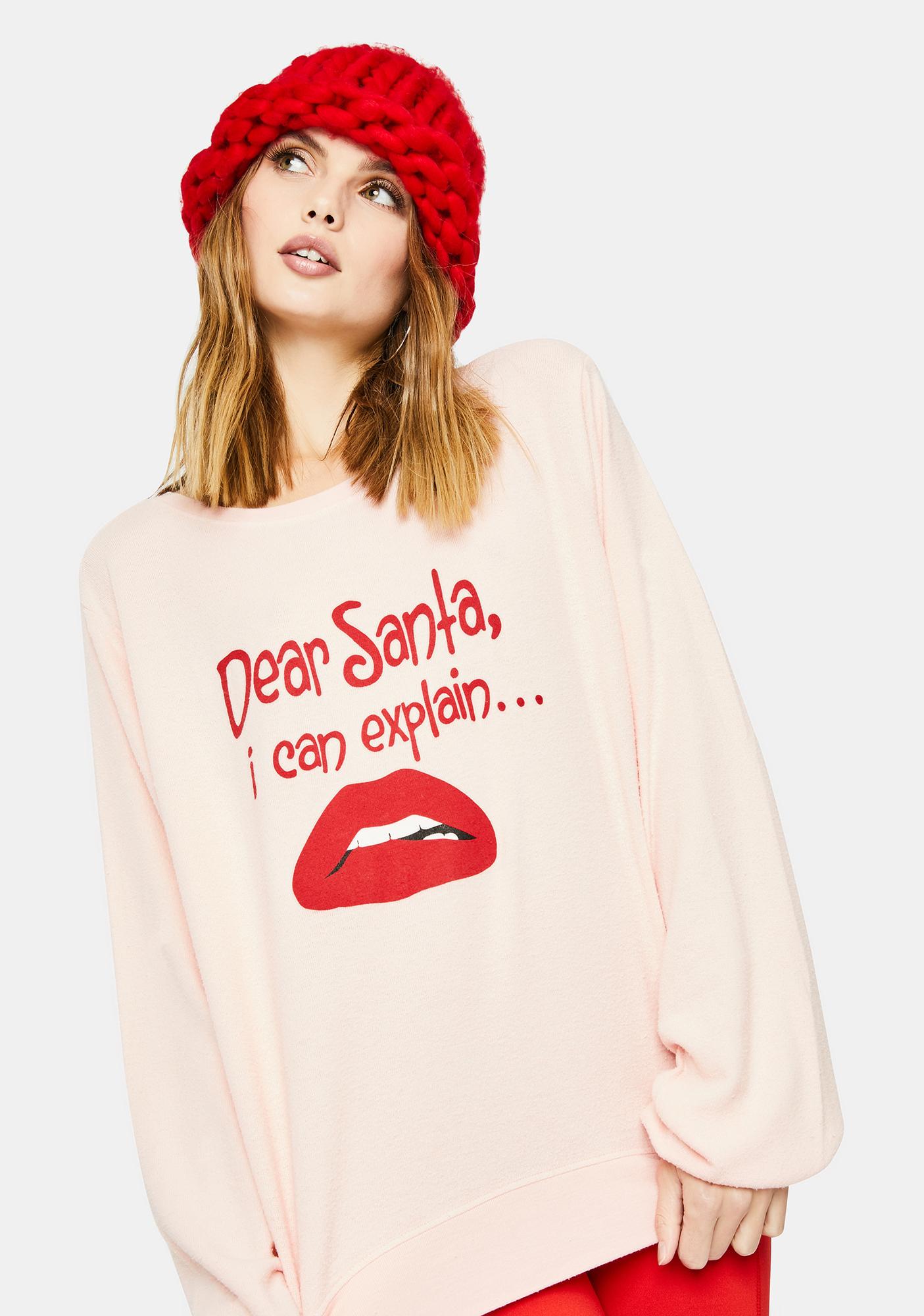 wildfox santa sweater