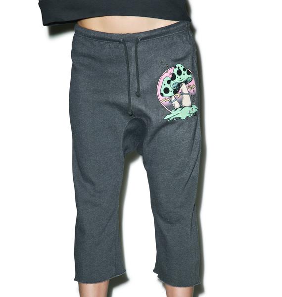 wildfox joggers