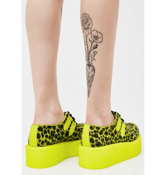 Demonia Wild Cheetah Creepers Dolls Kill