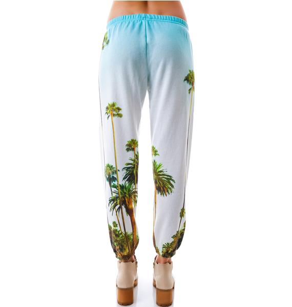 All Things Fabulous Palm Tree Sweats | Dolls Kill