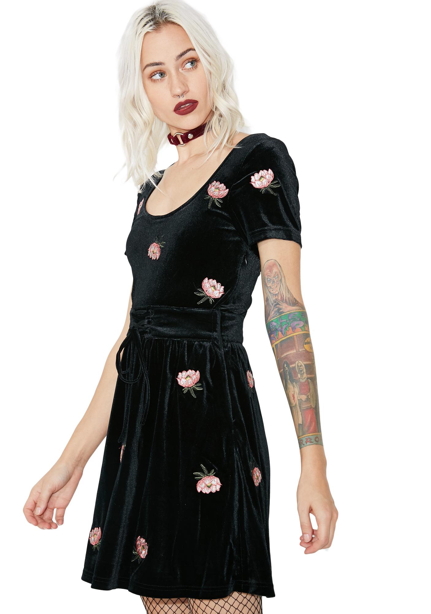 Floral Velvet Black Skater Dress | Dolls Kill