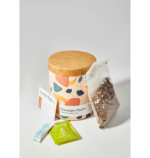 Modern Sprout Champagne Poppies Waxed Planter Dolls Kill